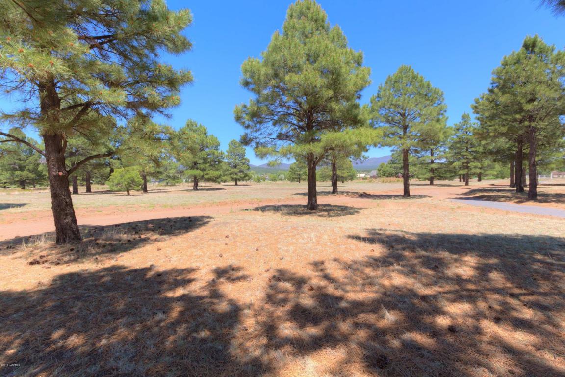 12340 N Eagle Road, Flagstaff, AZ 86004