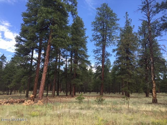 0000 Brannigan Park Road, Bellemont, AZ 86015