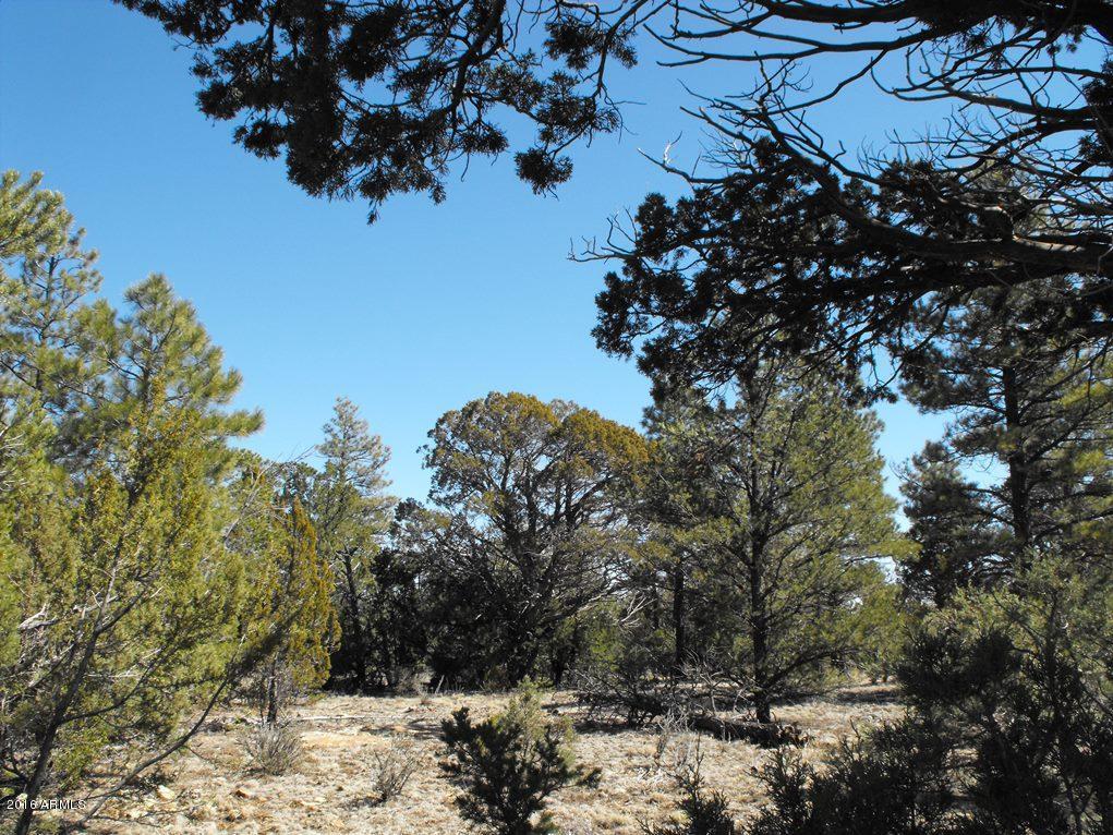 4435 TWIN OAKS Loop, Happy Jack, AZ 86024