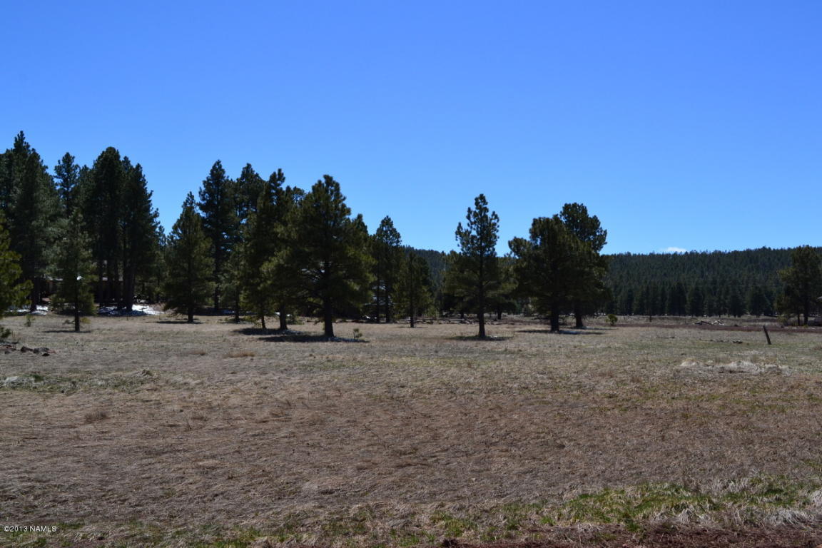 221 Anglers Loop, Mormon Lake, AZ 86038