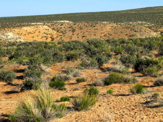 130 S Anasazi Dr, Greenehaven, AZ 86040