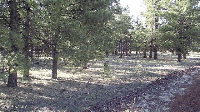 26 Nelson Way, Williams, AZ 86046