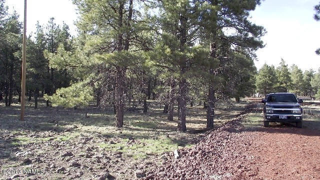 26 Nelson Way, Williams, AZ 86046