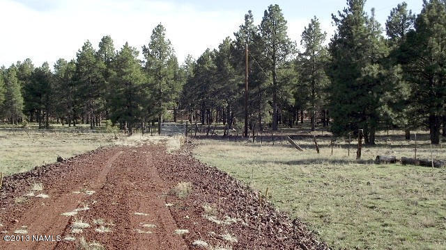 26 Nelson Way, Williams, AZ 86046