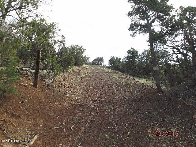 1330 E Painted Pony Lane, Williams, AZ 86046