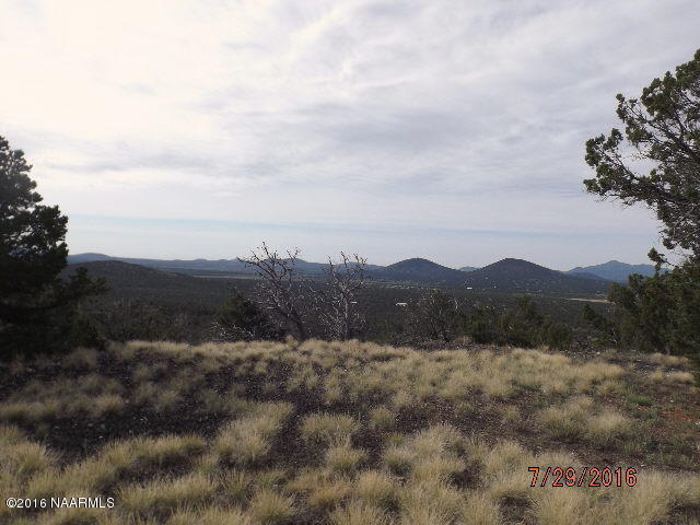 1330 E Painted Pony Lane, Williams, AZ 86046