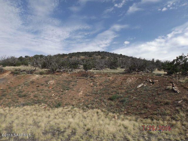 1330 E Painted Pony Lane, Williams, AZ 86046