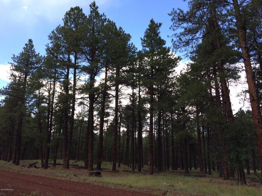 002v Eagle Creek Ln, Williams, AZ 86046