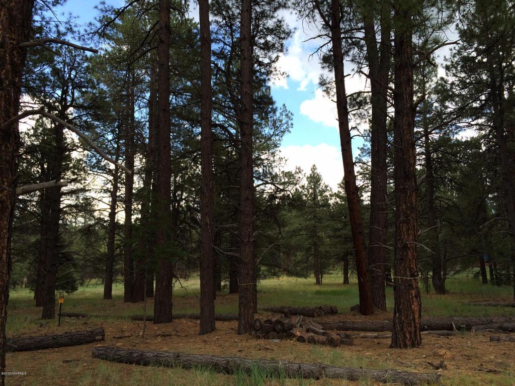 002v Eagle Creek Ln, Williams, AZ 86046