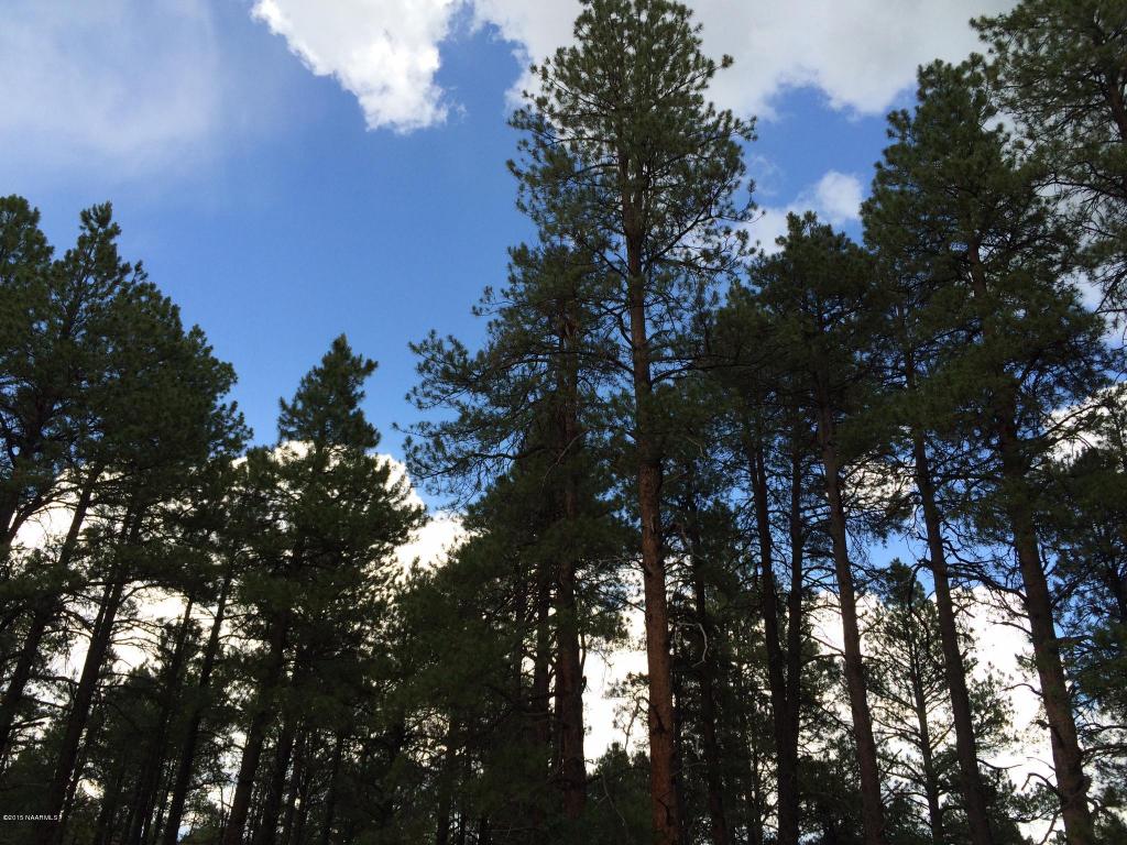 002v Eagle Creek Ln, Williams, AZ 86046