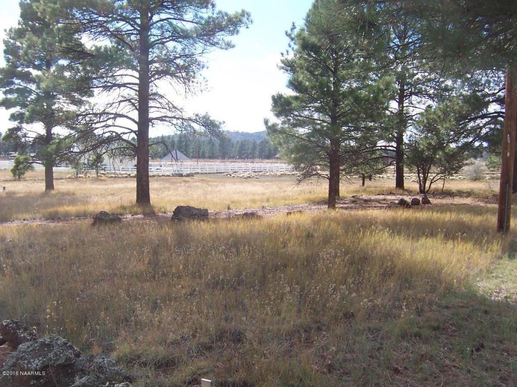 145 N Lakeview Drive, Williams, AZ 86046