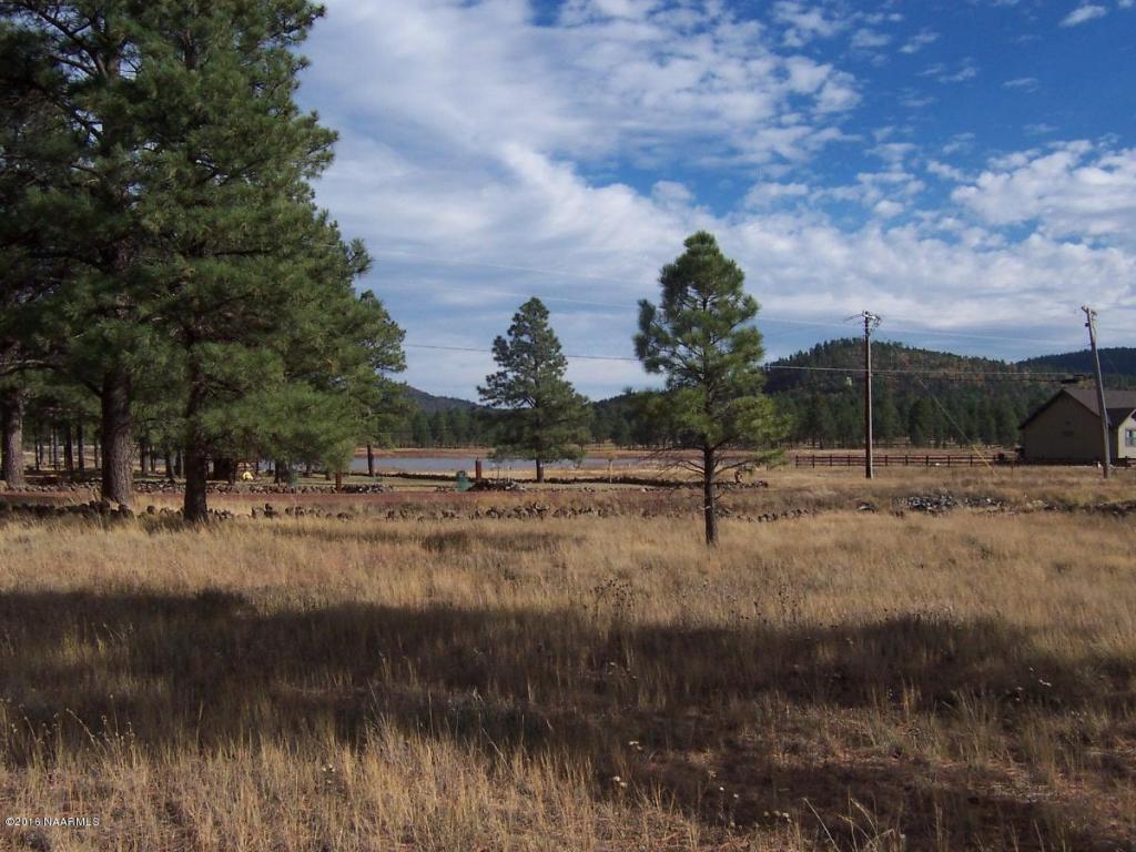 145 N Lakeview Drive, Williams, AZ 86046