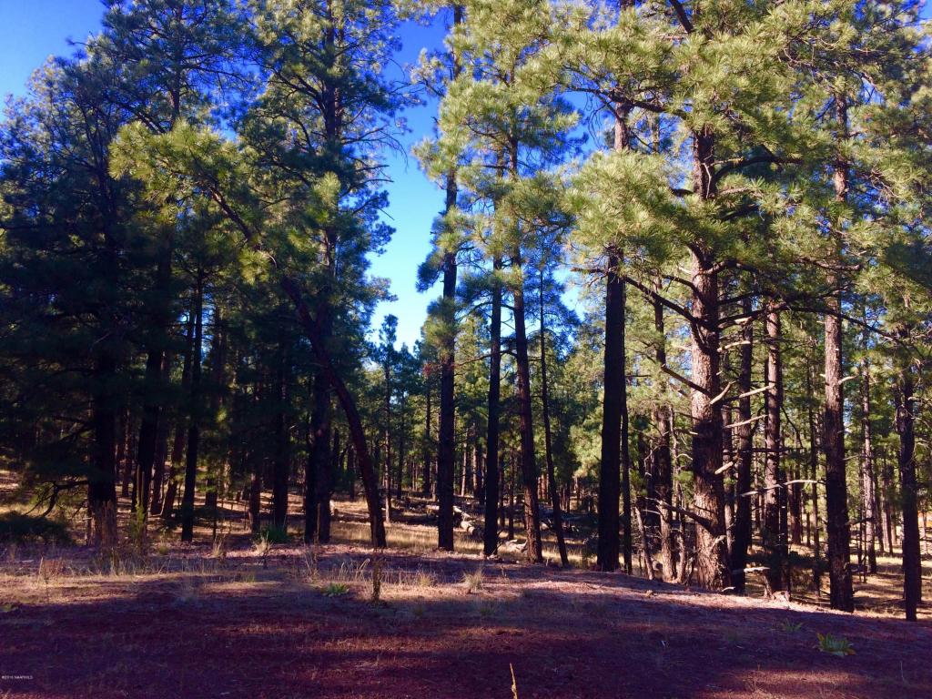 031 S Eagle Creek LN, Williams, AZ 86046