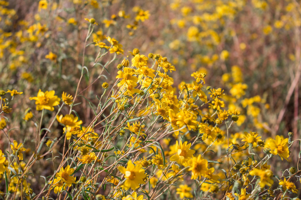 7645 Tulip Trl, Williams, AZ 86046