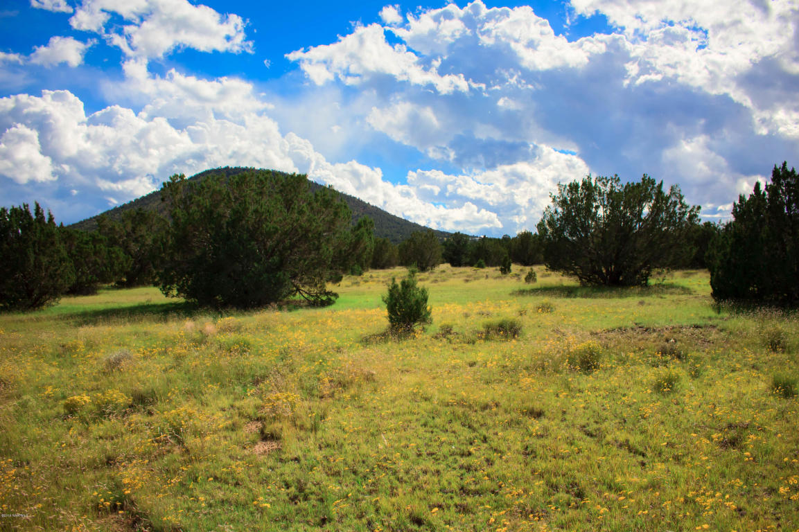 7645 Tulip Trl, Williams, AZ 86046