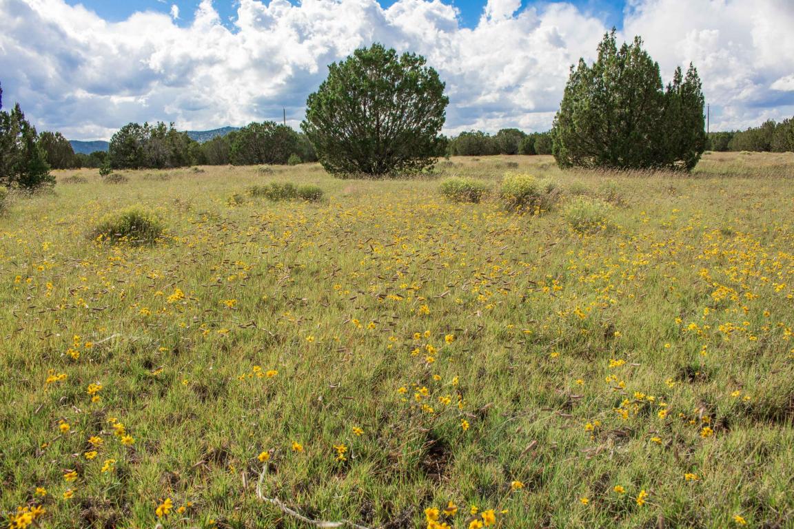 7645 Tulip Trl, Williams, AZ 86046