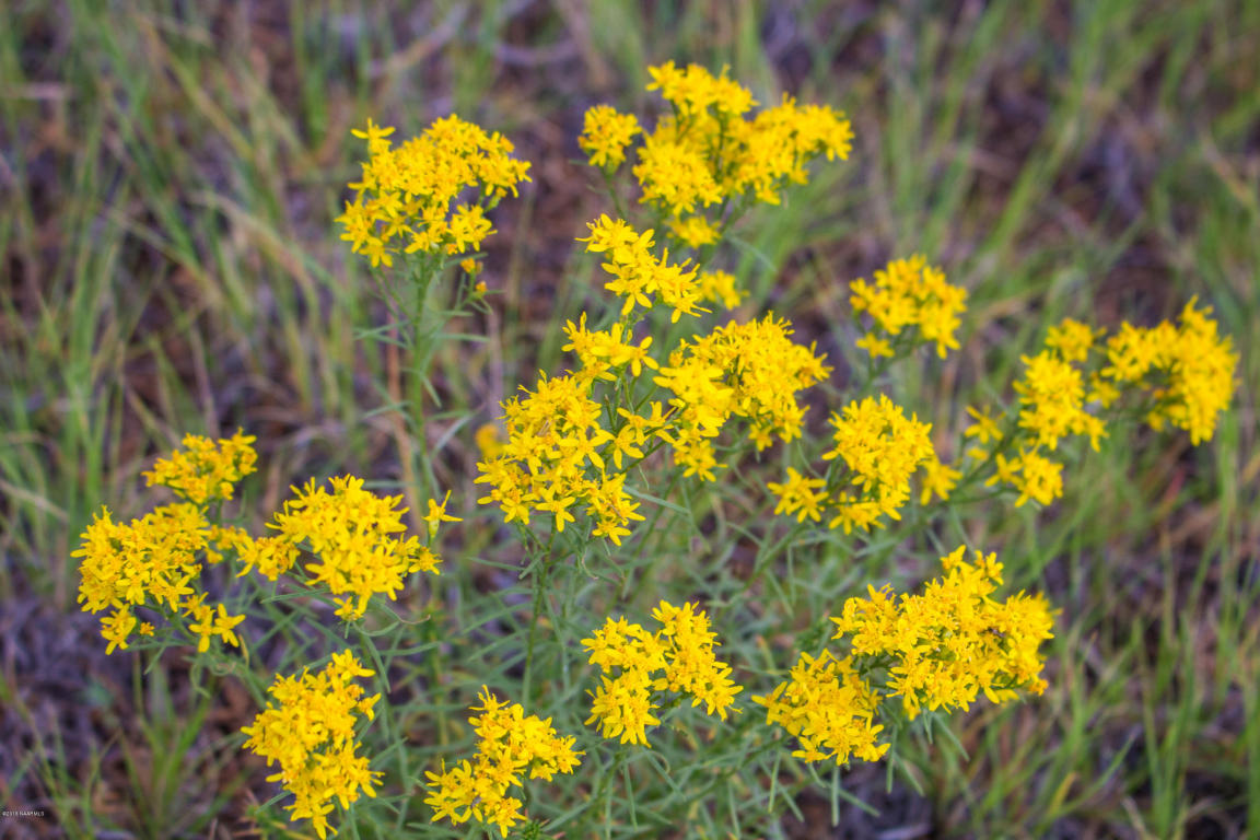 7645 Tulip Trl, Williams, AZ 86046