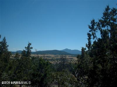 1721 E SAGEBRUSH Road, Williams, AZ 86046