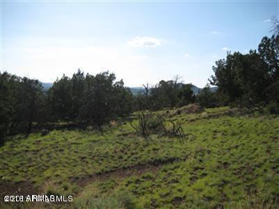 1721 E SAGEBRUSH Road, Williams, AZ 86046