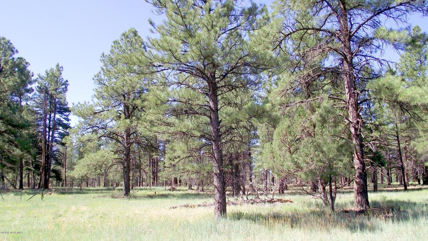 2693 Lazy E Road, Williams, AZ 86046