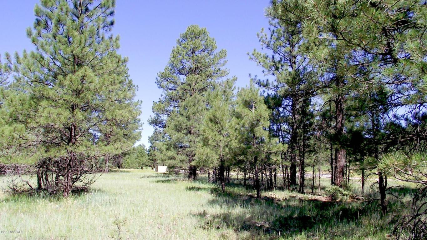 2693 Lazy E Road, Williams, AZ 86046