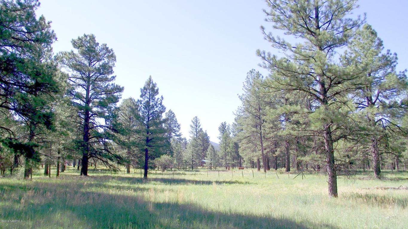 2687 Lazy E Road, Williams, AZ 86046