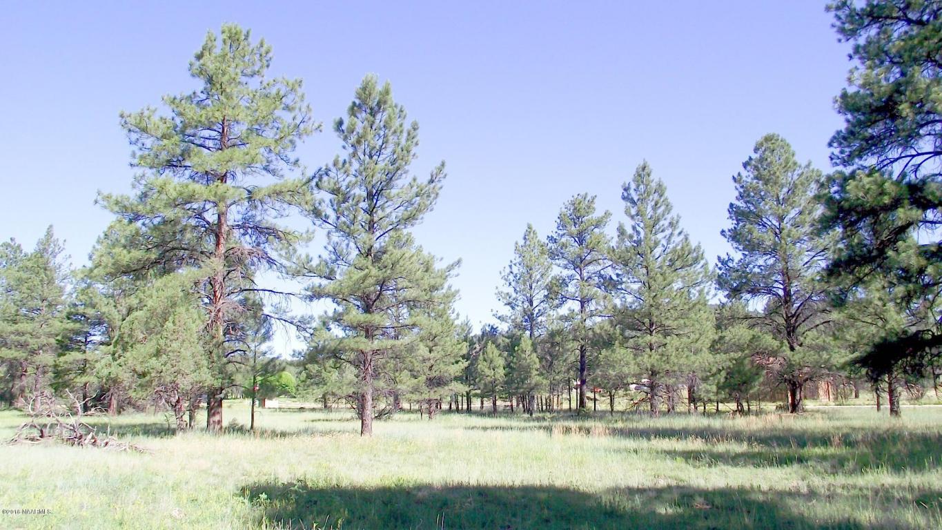 2687 Lazy E Road, Williams, AZ 86046