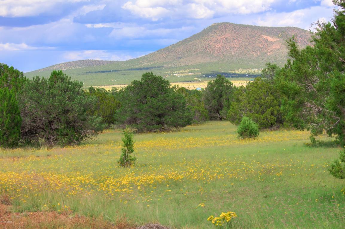 8134 Daisy Dr, Williams, AZ 86046