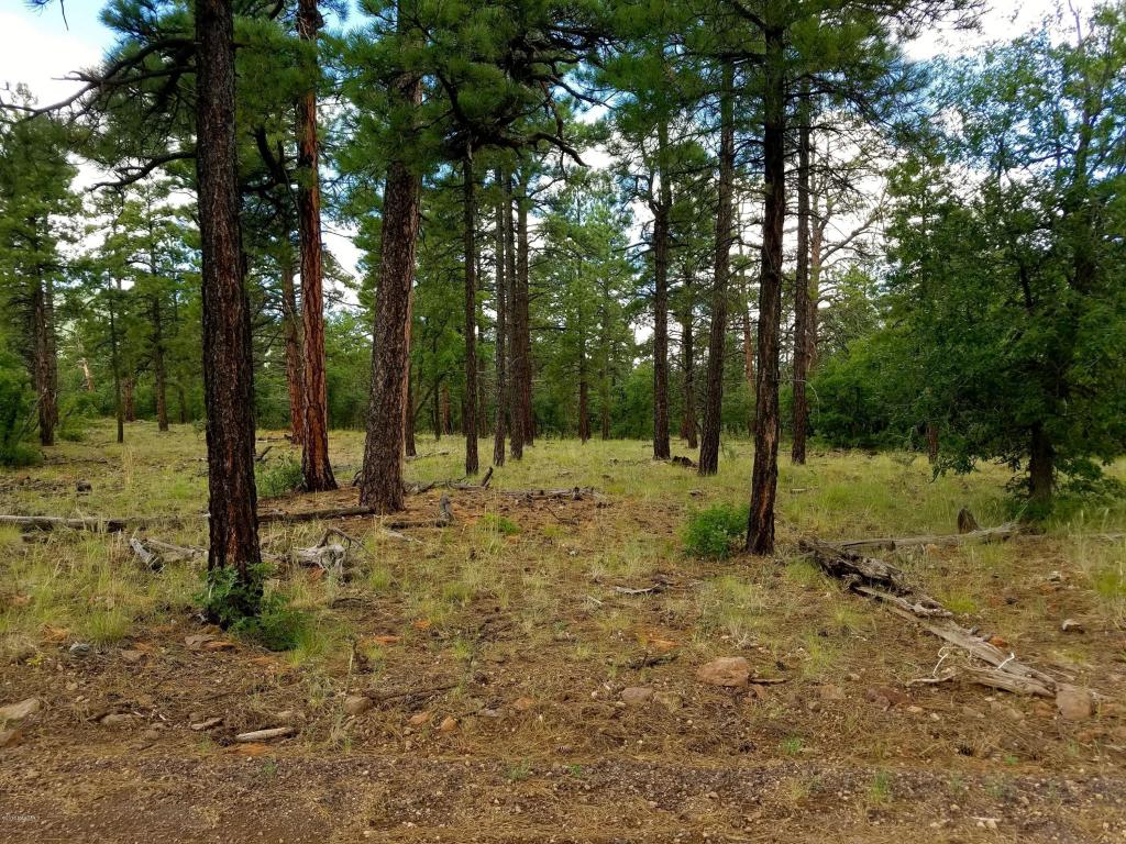 1688 Canyon View Loop, Williams, AZ 86046