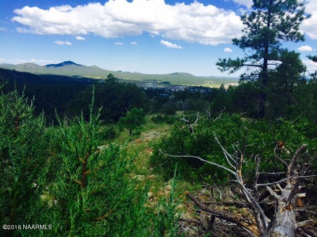 1688 Canyon View Loop, Williams, AZ 86046