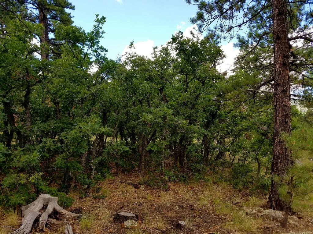 1688 Canyon View Loop, Williams, AZ 86046