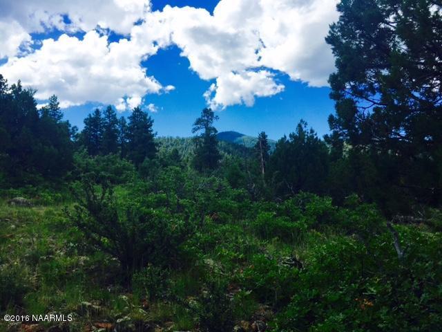 1688 Canyon View Loop, Williams, AZ 86046