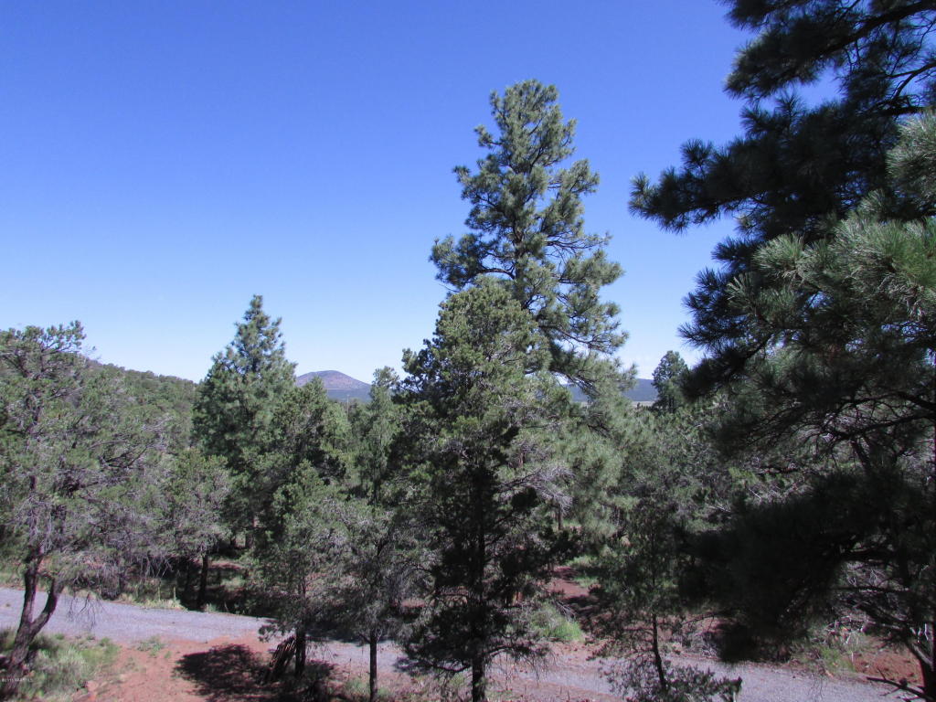 1620 E Spring Valley Road, Williams, AZ 86046