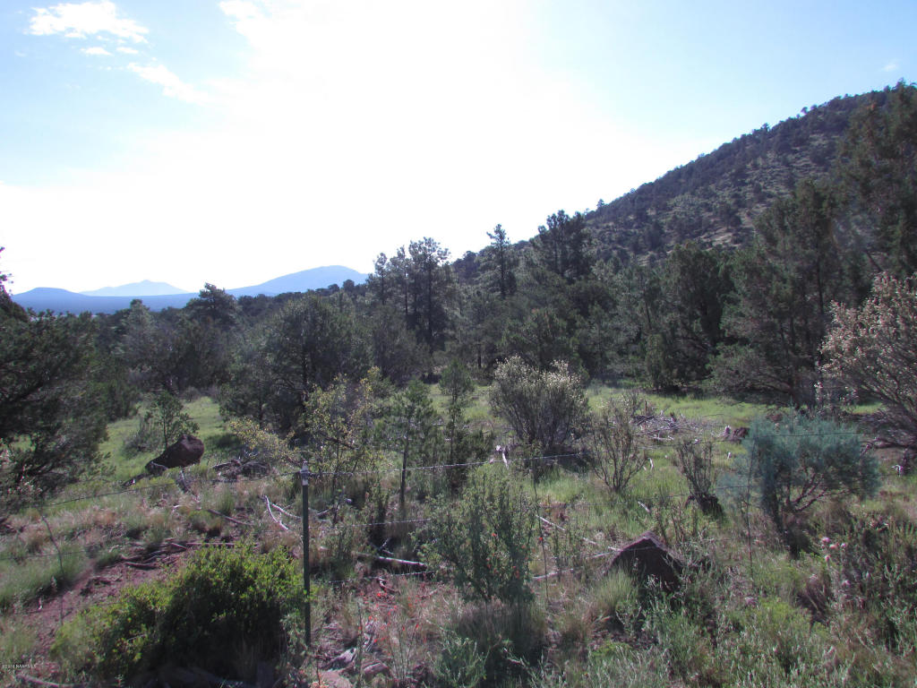 1620 E Spring Valley Road, Williams, AZ 86046