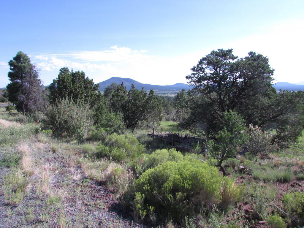 1620 E Spring Valley Road, Williams, AZ 86046