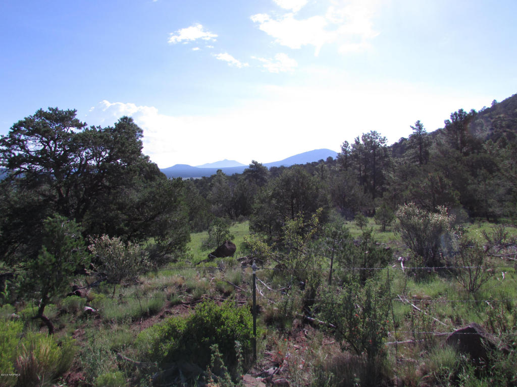 1620 E Spring Valley Road, Williams, AZ 86046