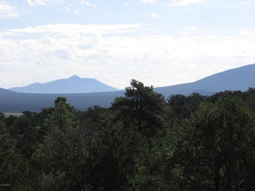 1620 E Spring Valley Road, Williams, AZ 86046
