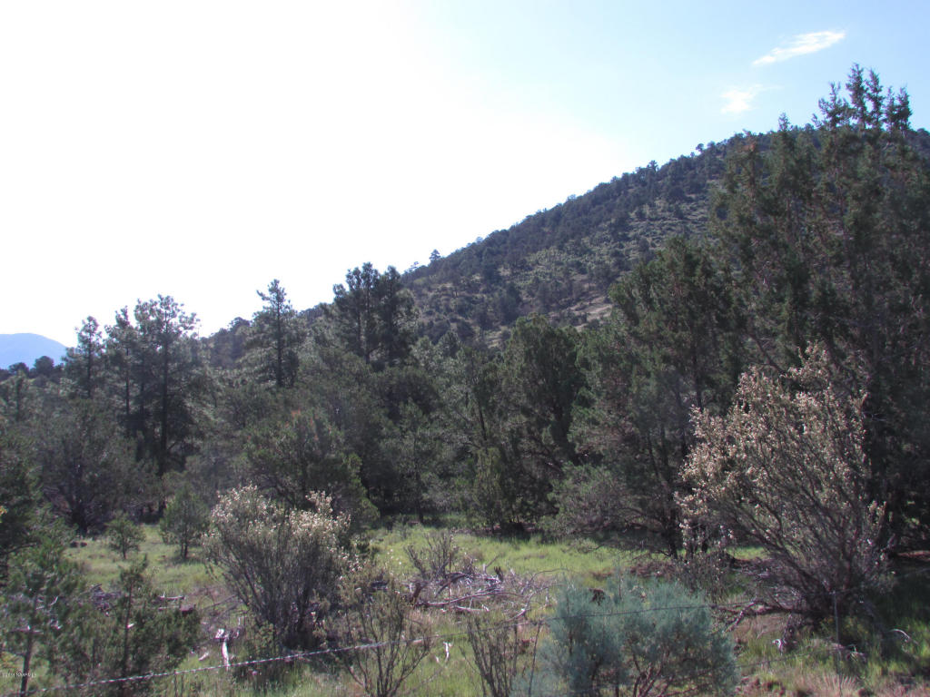 1620 E Spring Valley Road, Williams, AZ 86046