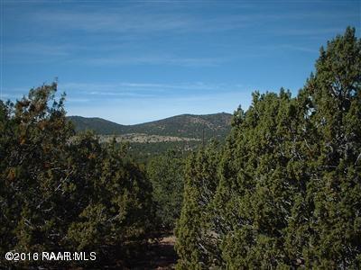 802 E Longpoint, Williams, AZ 86046