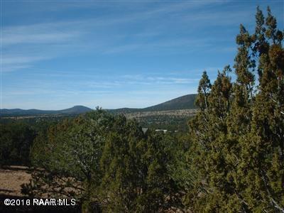 802 E Longpoint, Williams, AZ 86046