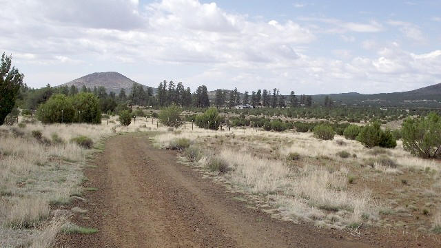 2582 E Spring Valley Road, Williams, AZ 86046