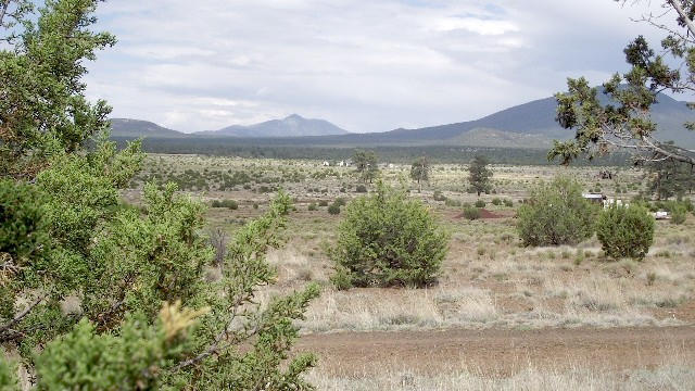 2582 E Spring Valley Road, Williams, AZ 86046