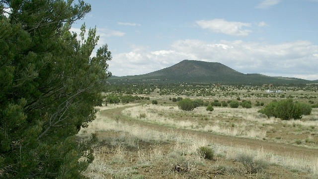 2582 E Spring Valley Road, Williams, AZ 86046