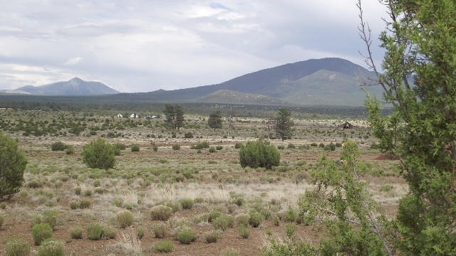 2582 E Spring Valley Road, Williams, AZ 86046