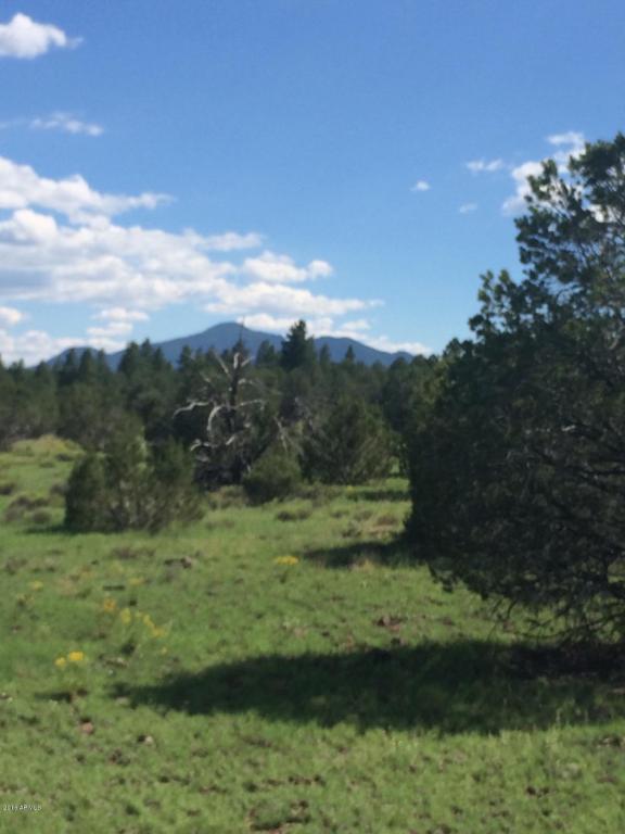 00 N Pitt Tank Road, Williams, AZ 86046
