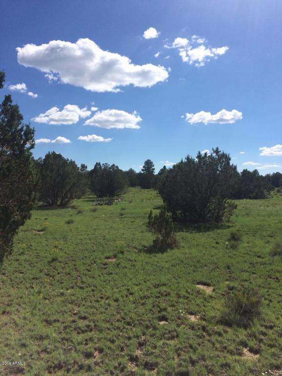 00 N Pitt Tank Road, Williams, AZ 86046