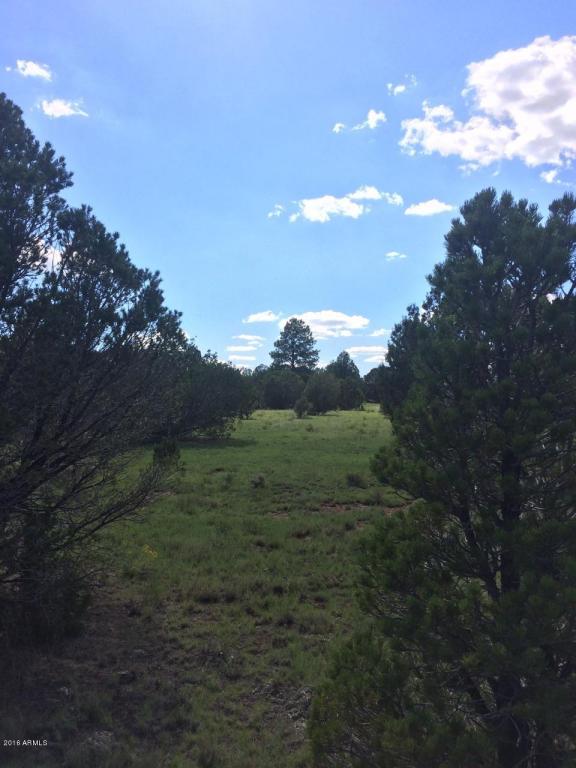 000 N Pitt Tank Road, Williams, AZ 86046