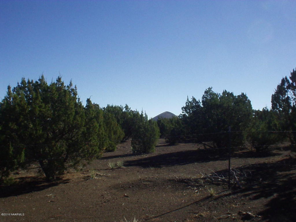 8984 N Soccs Drive, Williams, AZ 86046