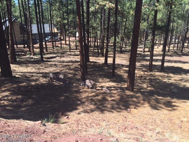7719 E Long Bow Drive, Williams, AZ 86046