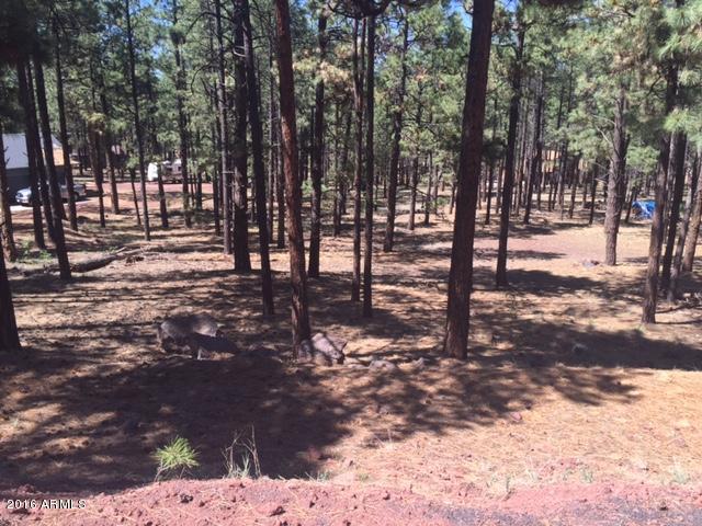 7719 E LONG BOW Drive, Williams, AZ 86046